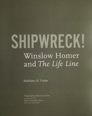 Shipwreck! : Winslow Homer and The Life Line / Kathleen A. Foster.
