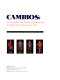 Cambios : the spirit of transformation in Spanish colonial art / essays by Gabrielle Palmer and Donna Pierce.